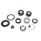 Bedford Precision Parts Bedford Precision Repair Kit for 190ES, 190LTS, 210ES, 210LTS - Replacement for Graco 255-204 20-2858 - alternate 1